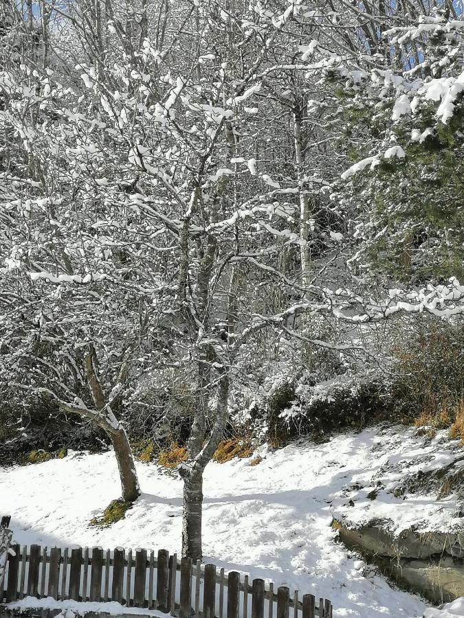Ferienwohnung Riedbach อินส์บรุค ภายนอก รูปภาพ