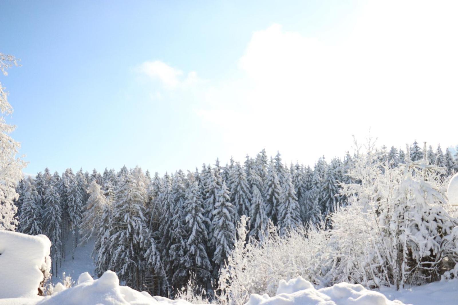 Ferienwohnung Riedbach อินส์บรุค ภายนอก รูปภาพ